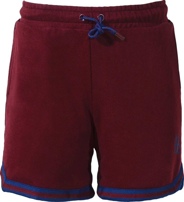 

Шорты Puma Shot Caller Short 'Aubergine/Patriot Blue', красный