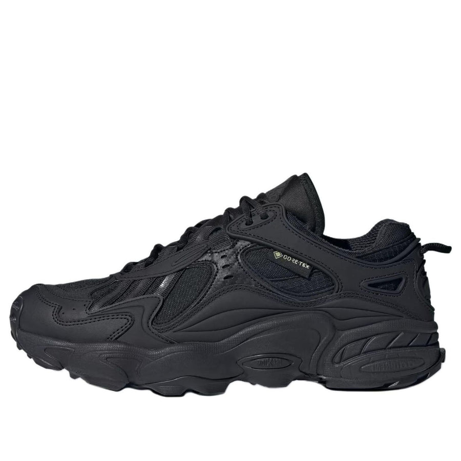 

Кроссовки adidas Cadiant FYW Gore-Tex 'Core Black Cloud White', черный