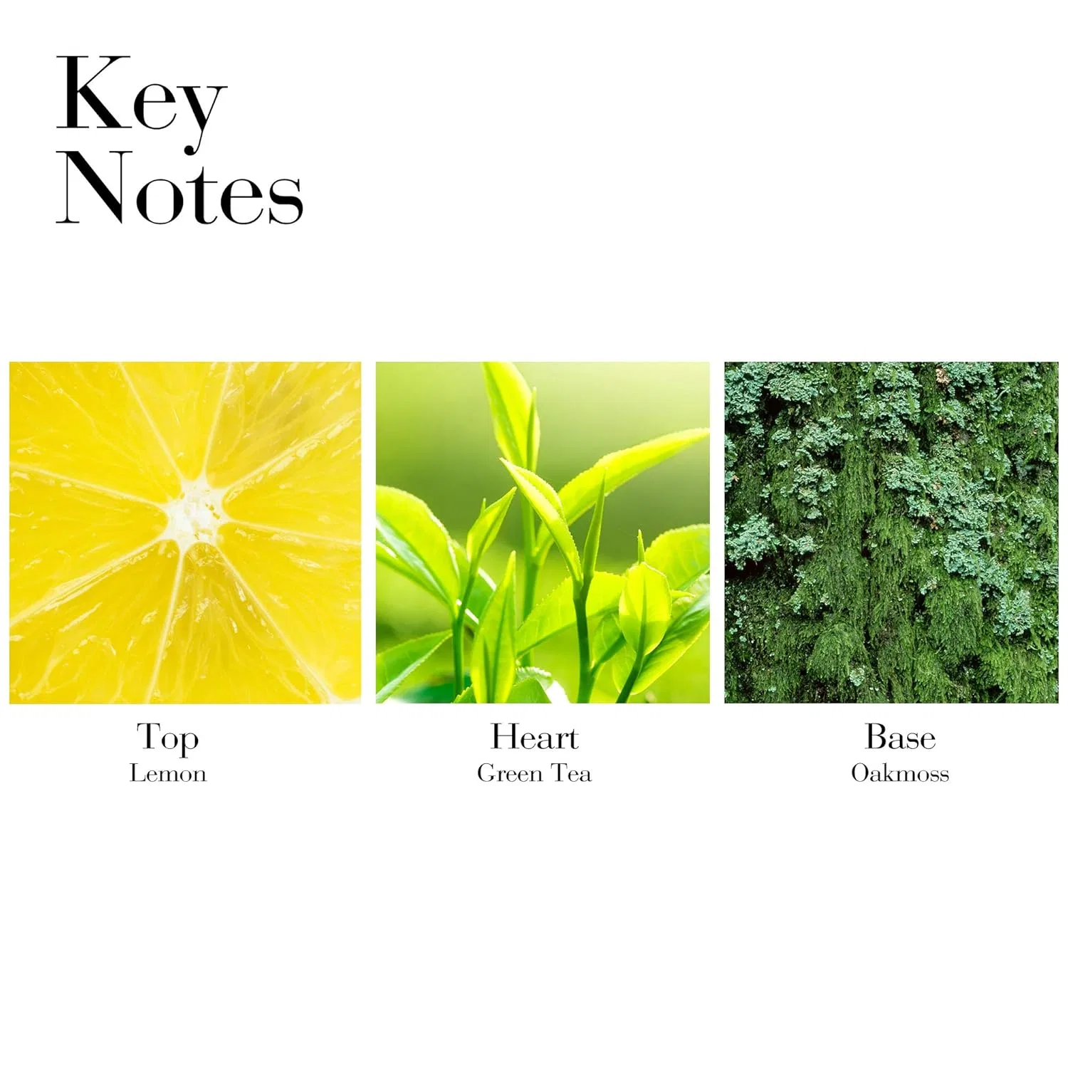 Крем для тела Elizabeth Arden Green Tea Honey Drops, 250 мл — фото 3