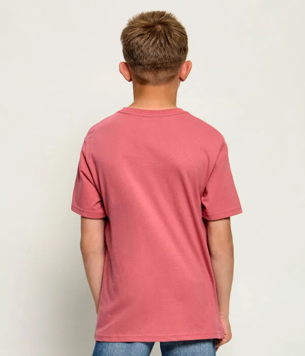 Детская футболка для мальчиков хлопковая Polo Ralph Lauren, Rosa — фото 3