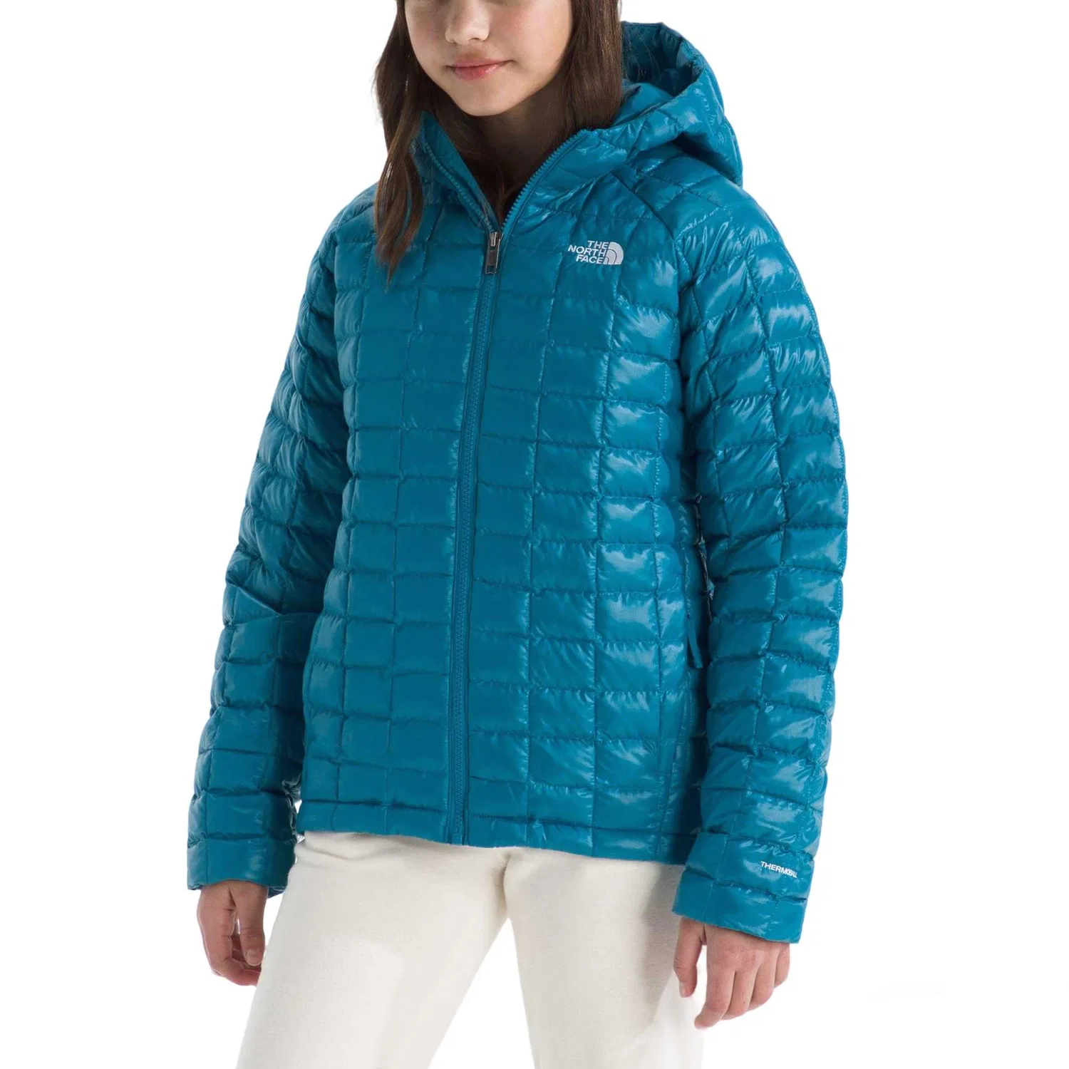 Детский утепленный пуховик The North Face