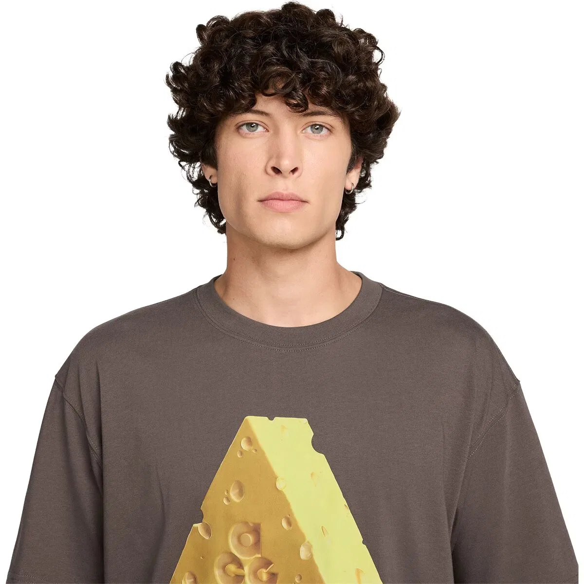 Мужская футболка с принтом Acg Dri-Fit Camp Cheese Nike, Ironstone — фото 2