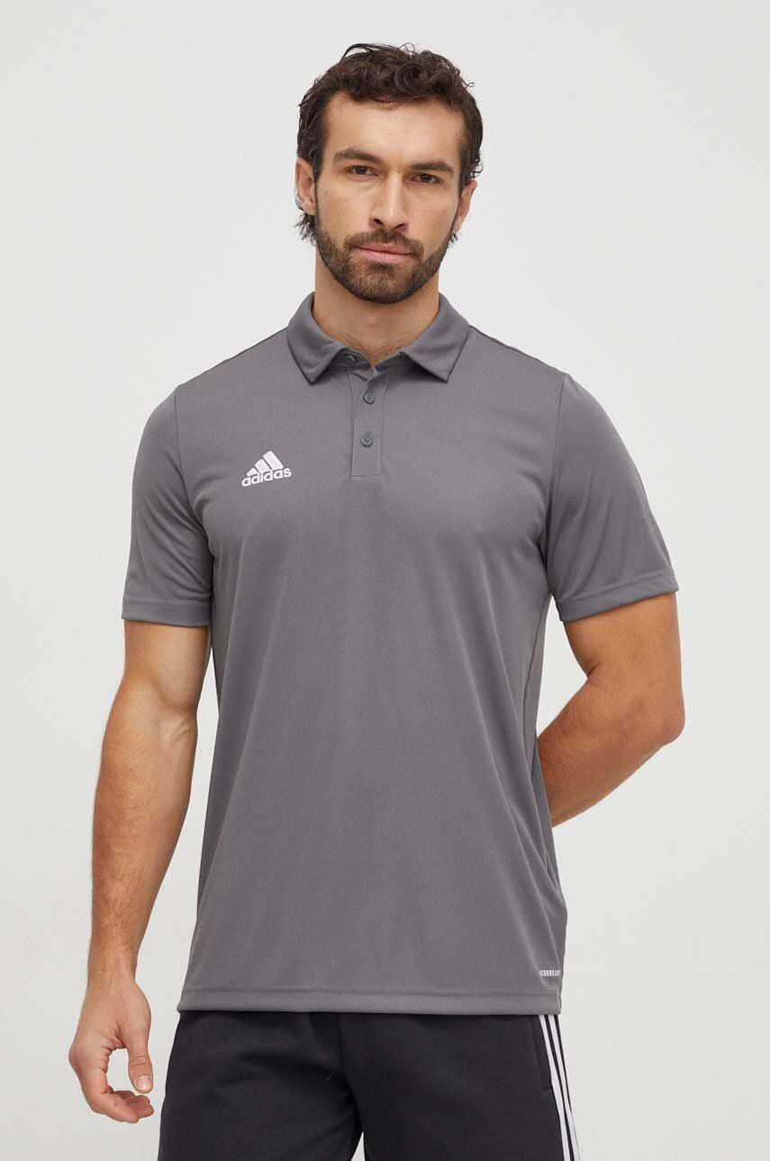 

Трекинговая палка Entrada 22 adidas Performance, серый