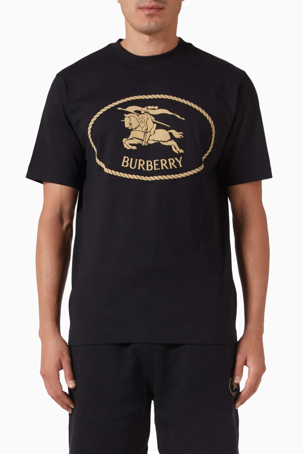 Футболка с принтом Knight Stamp Burberry