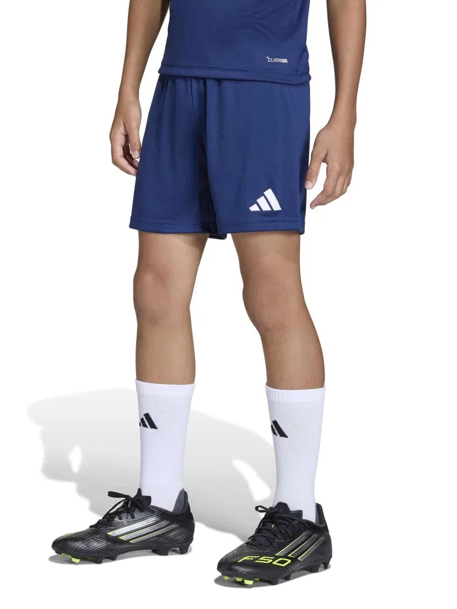 Спортивные брюки ADIDAS PERFORMANCE Regular Workout Pants 'Ent26' темно-синего цвета — фото 2
