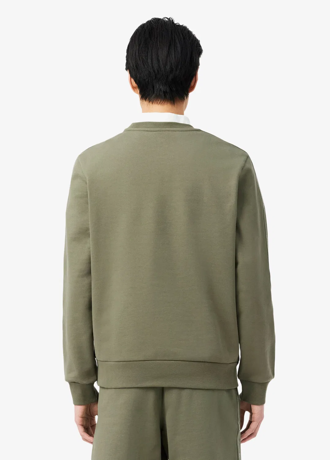Свитшот Lacoste Classic Fit, хаки — фото 3