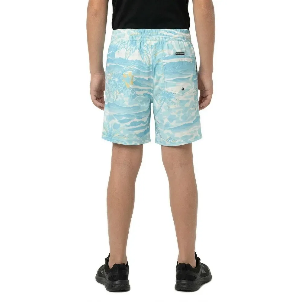 Плавки Everyday Printed Volley 14″ Quiksilver, синий — фото 4