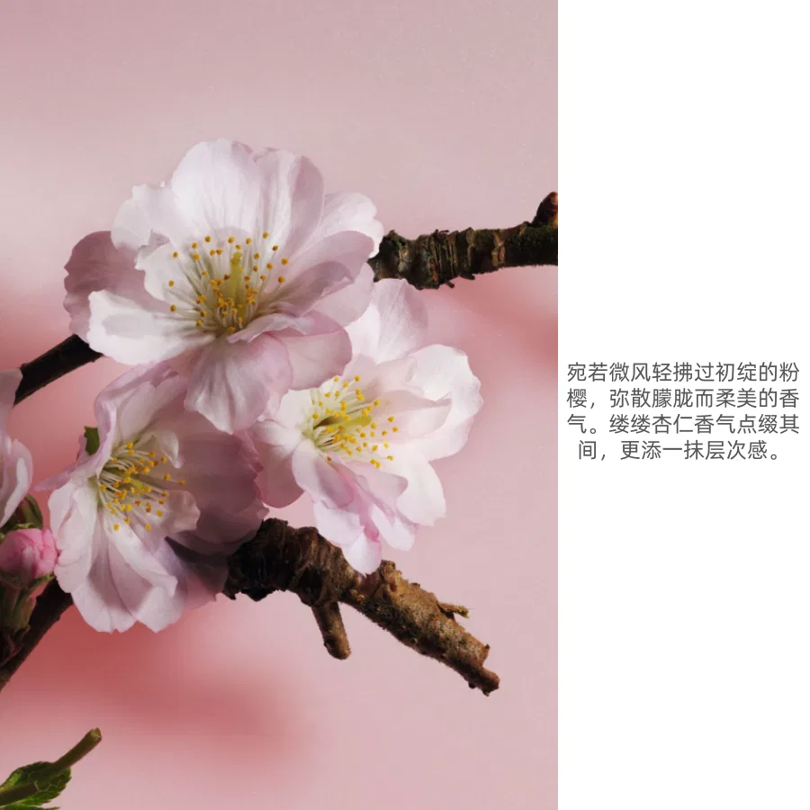 Набор пробников духов DIOR Collectible Cherry Blossom Dance, 2×15 мл, DIOR, Multicolor — фото 4