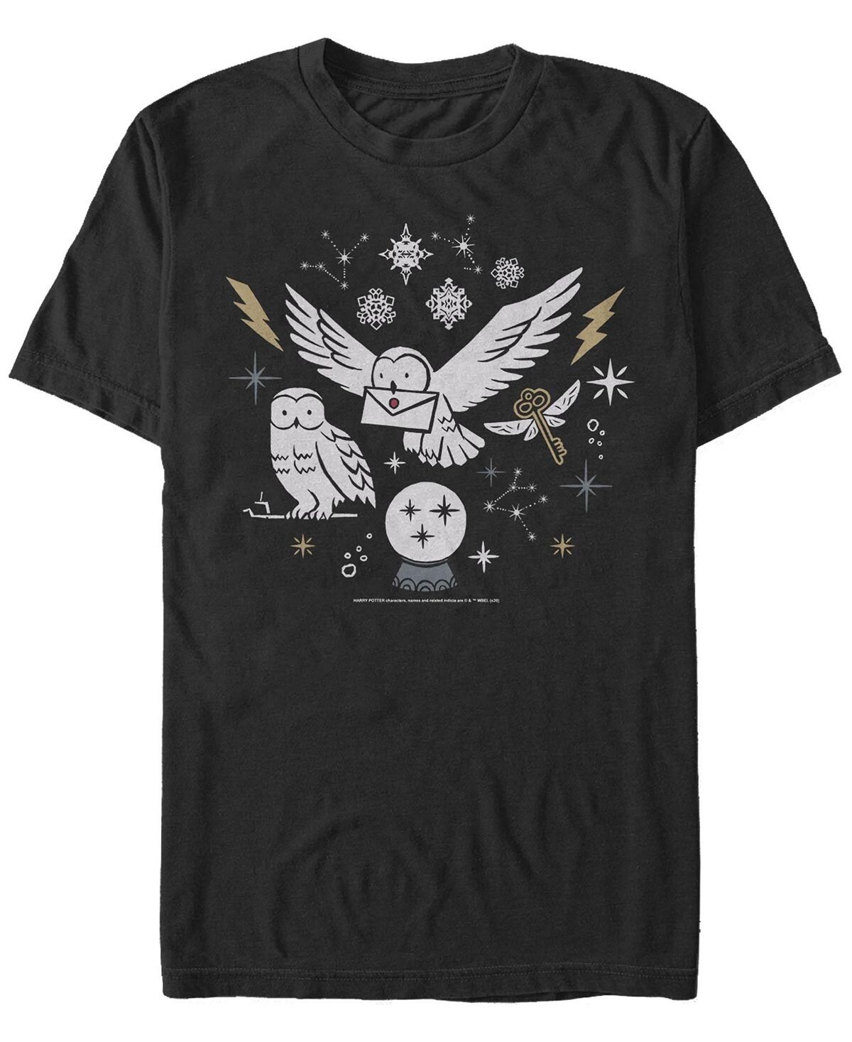 

Мужская футболка с круглым вырезом с короткими рукавами wintery owls Fifth Sun, черный
