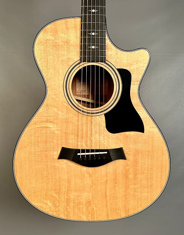 

Taylor 312ce 12-ладовая электроакустическая гитара V-класса 312ce 12-fret