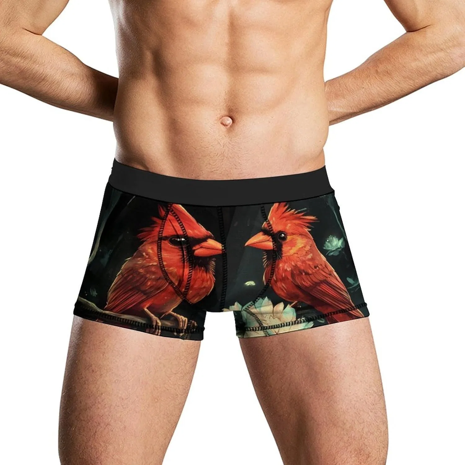 Боксеры дышащие, Cardinal Birds, Style