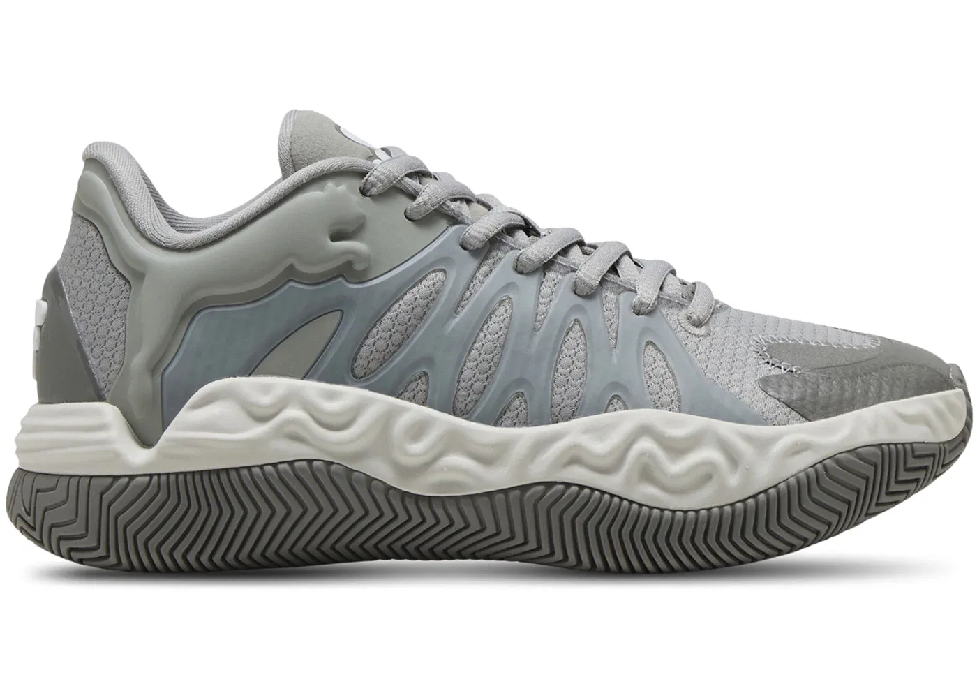 Детские кроссовки для мальчиков с длинным шнурком Puma Tyrese Haliburton Hali 1, Grey Echo/Feather Grey