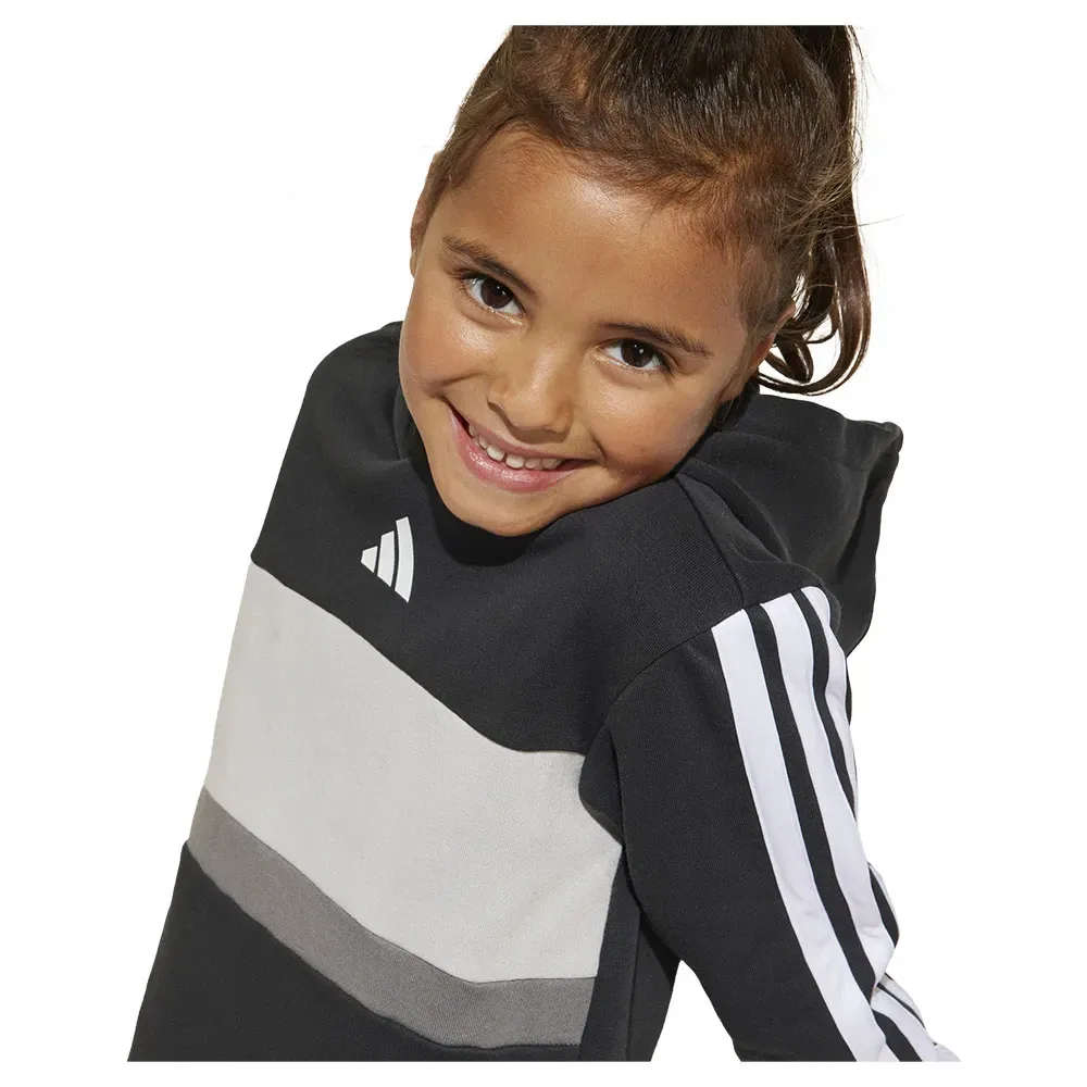 Спортивный костюм Adidas Seasonal Essentials Tiberio 3 Stripes Fleece Leggings, черный — фото 2