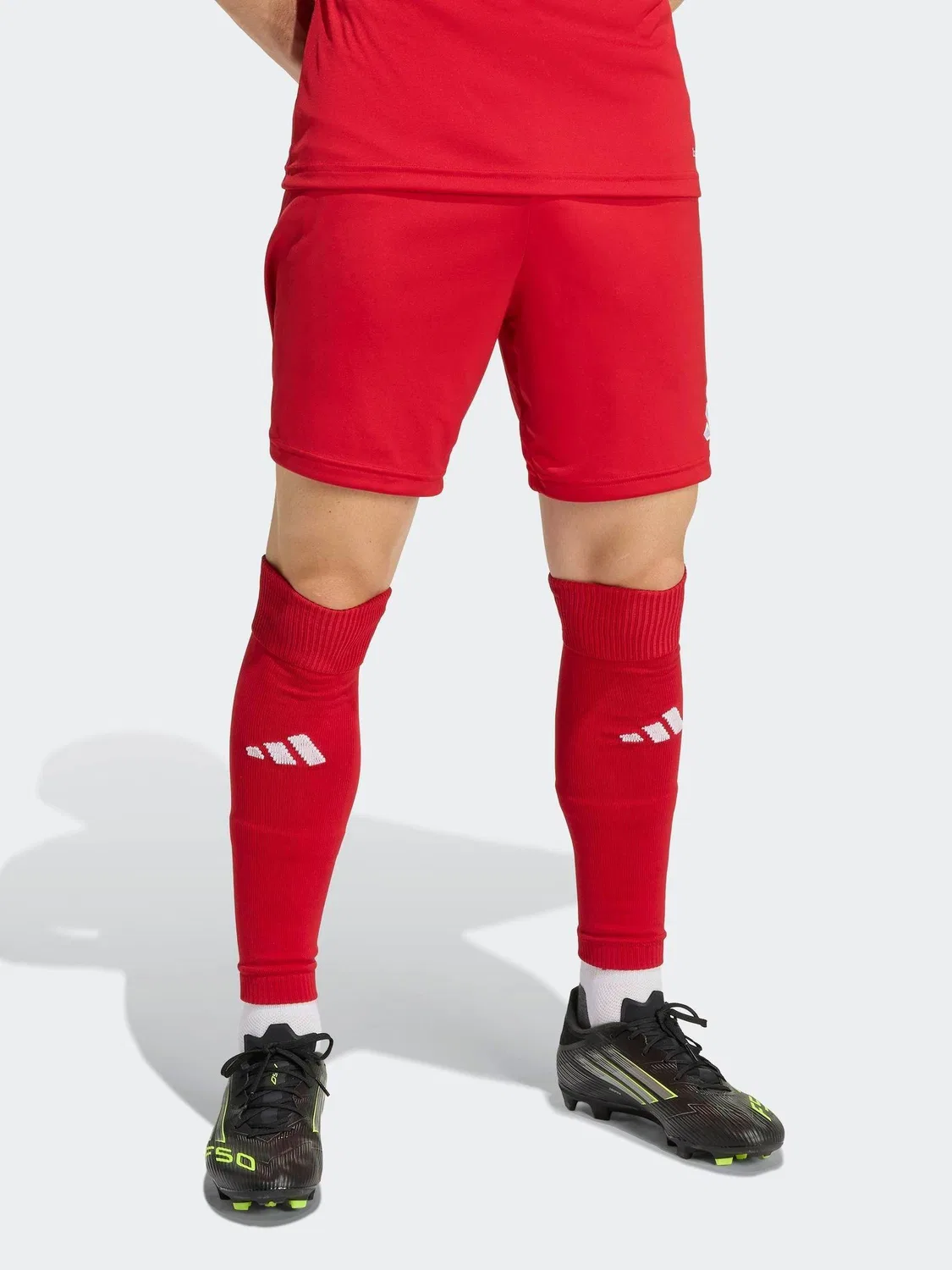 Шорты, Regular fit, Entrada 26 adidas, красный