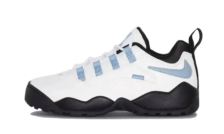 Детские кроссовки для скейтбординга с низким профилем SB Darwin Low Supreme Sail Nike, Schwarz