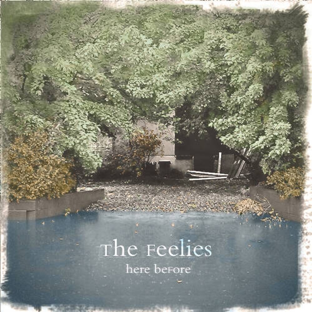 

Диск CD Here Before - The Feelies