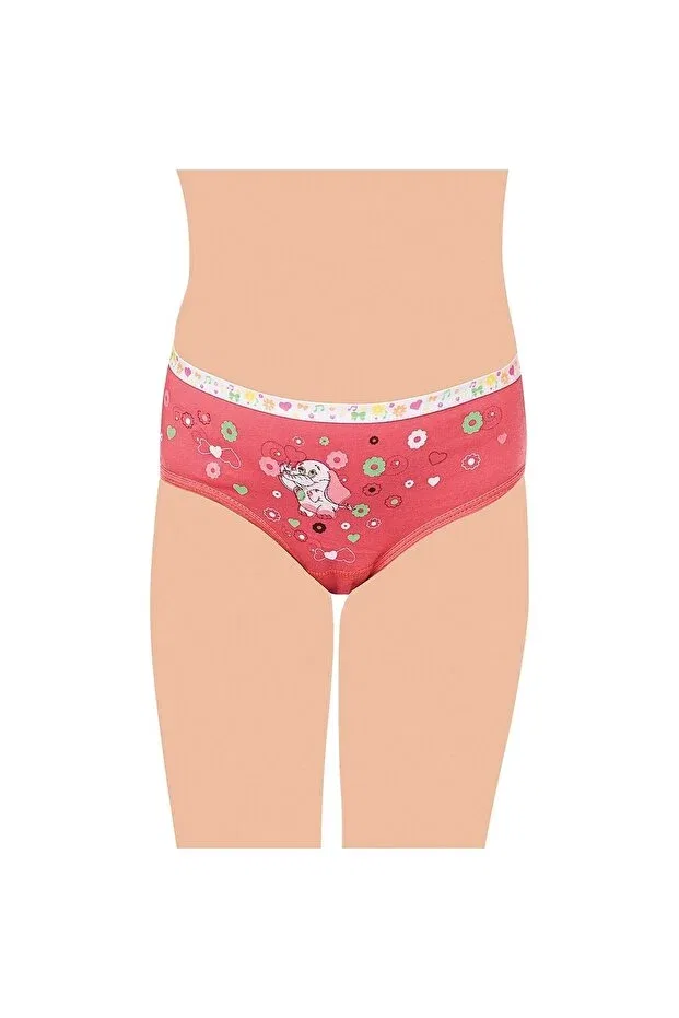 Детские трусы для девочек с принтом 12-Piece girl's elastane front printed panties combination 0832 Tutku, Combined