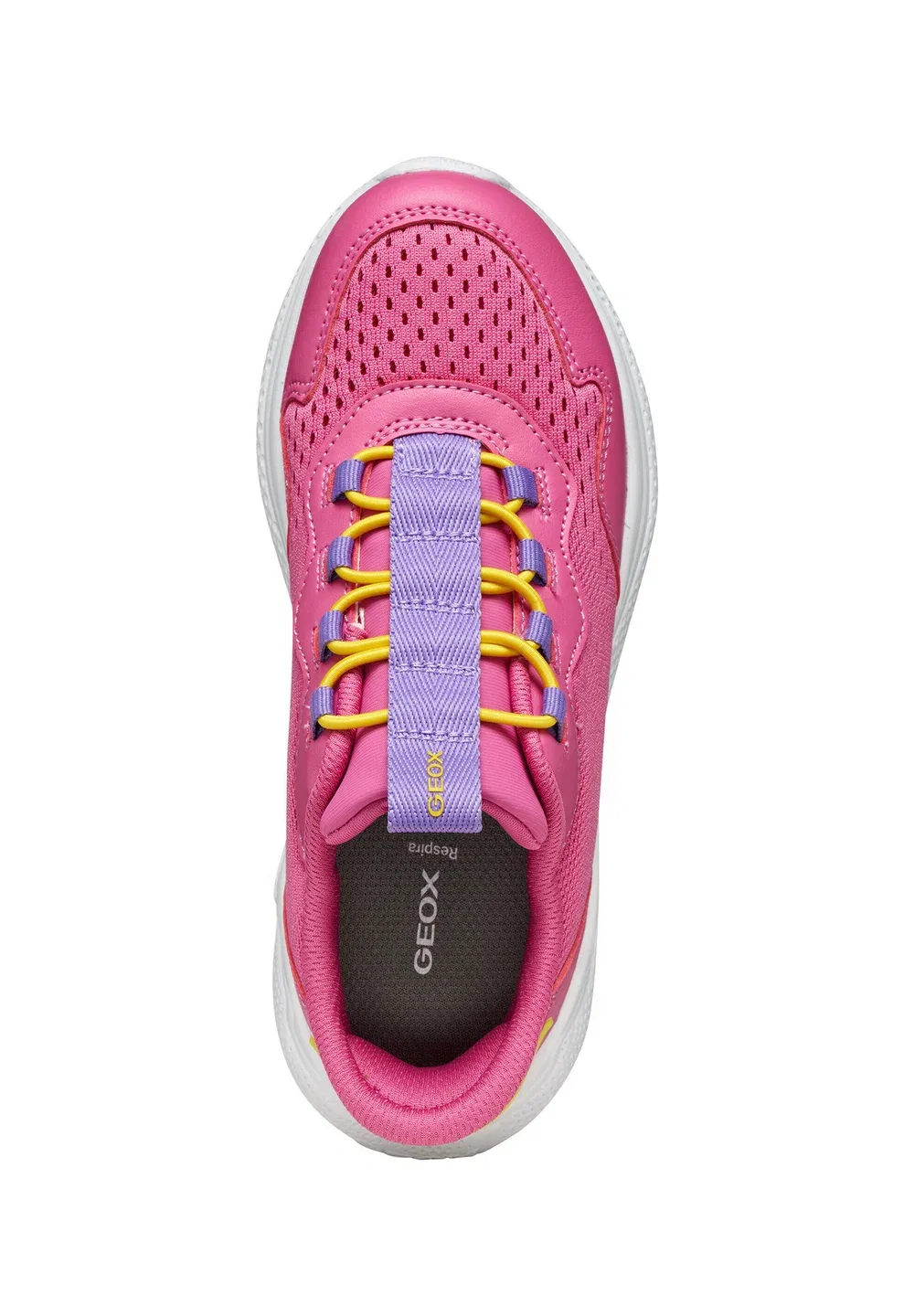 J sprintye fast in g - trainers Geox, Dark Fuchsia Violet — фото 3