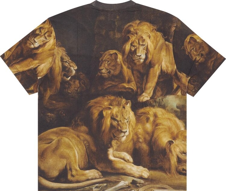 Футболка Supreme Lion's Den Short-Sleeve Top 'Multicolor', разноцветный — фото 3