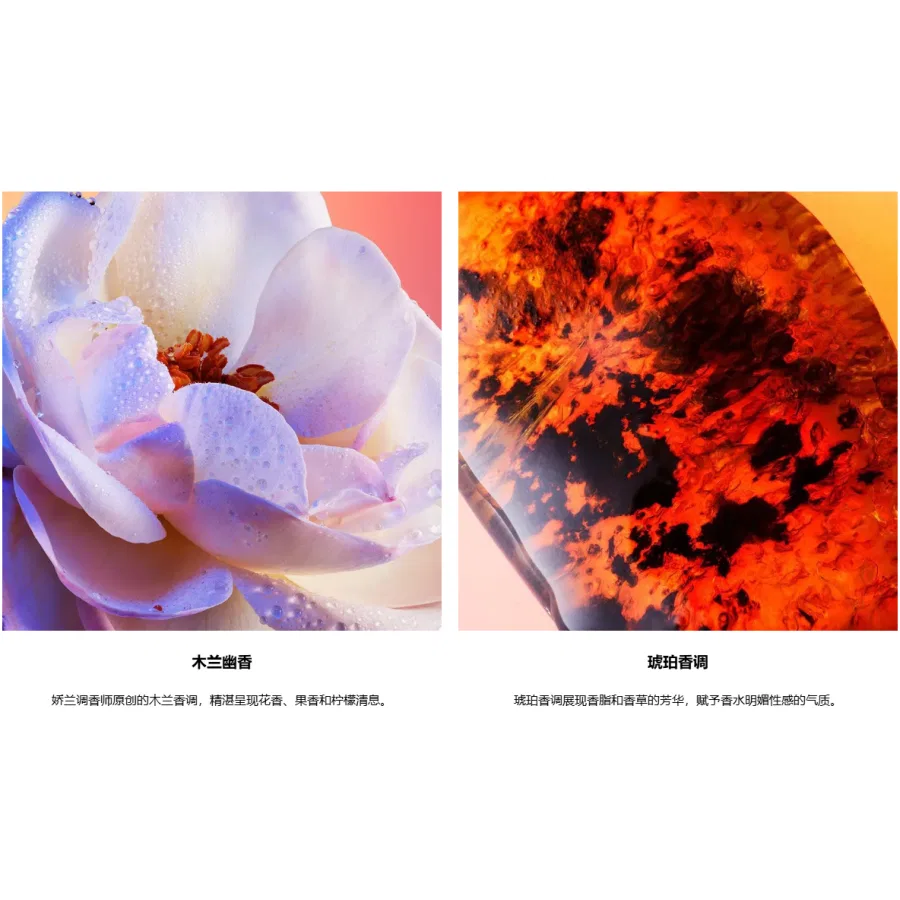 Парфюмерная вода Oriental Potpourri Accord, 75 мл, GUERLAIN, Classic Legend — фото 4