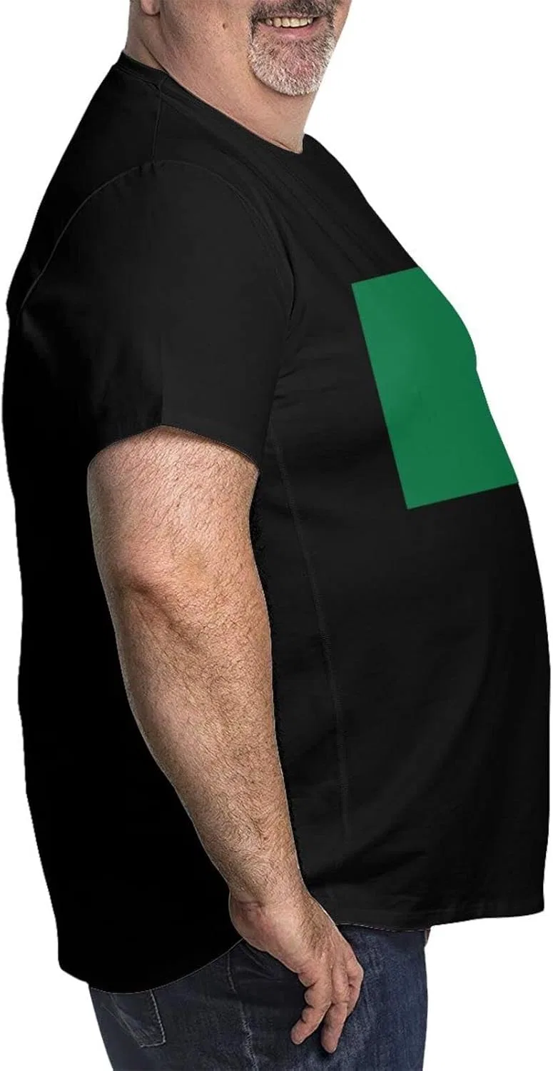 Мужская футболка с графическим принтом Regular Fit, Irish Flag — фото 4