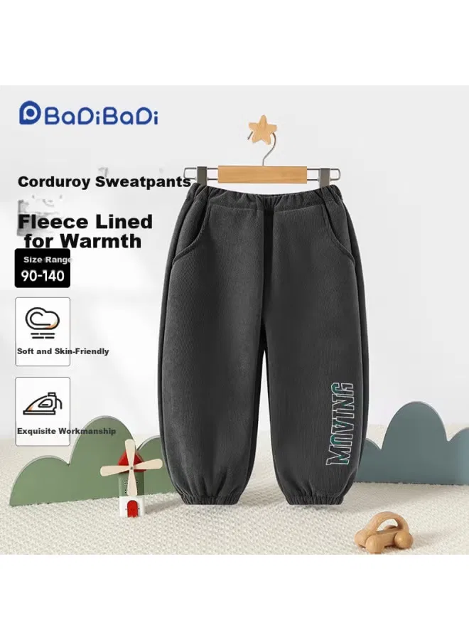 Штаны утепленные с принтом Badibadi, серый