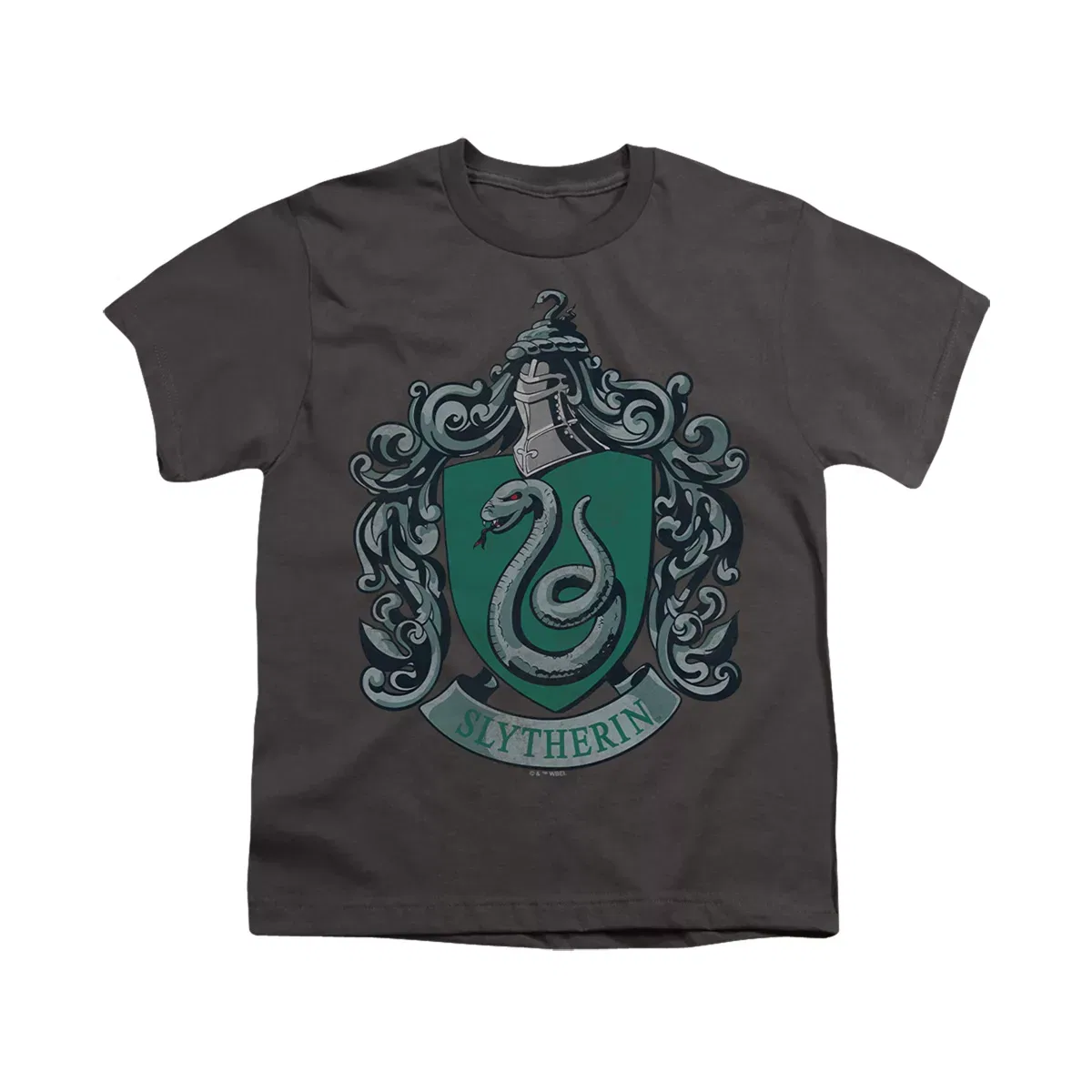 Детская футболка с принтом Harry Potter Distressed Slytherin Crest Harry Potter, Charcoal — фото 2