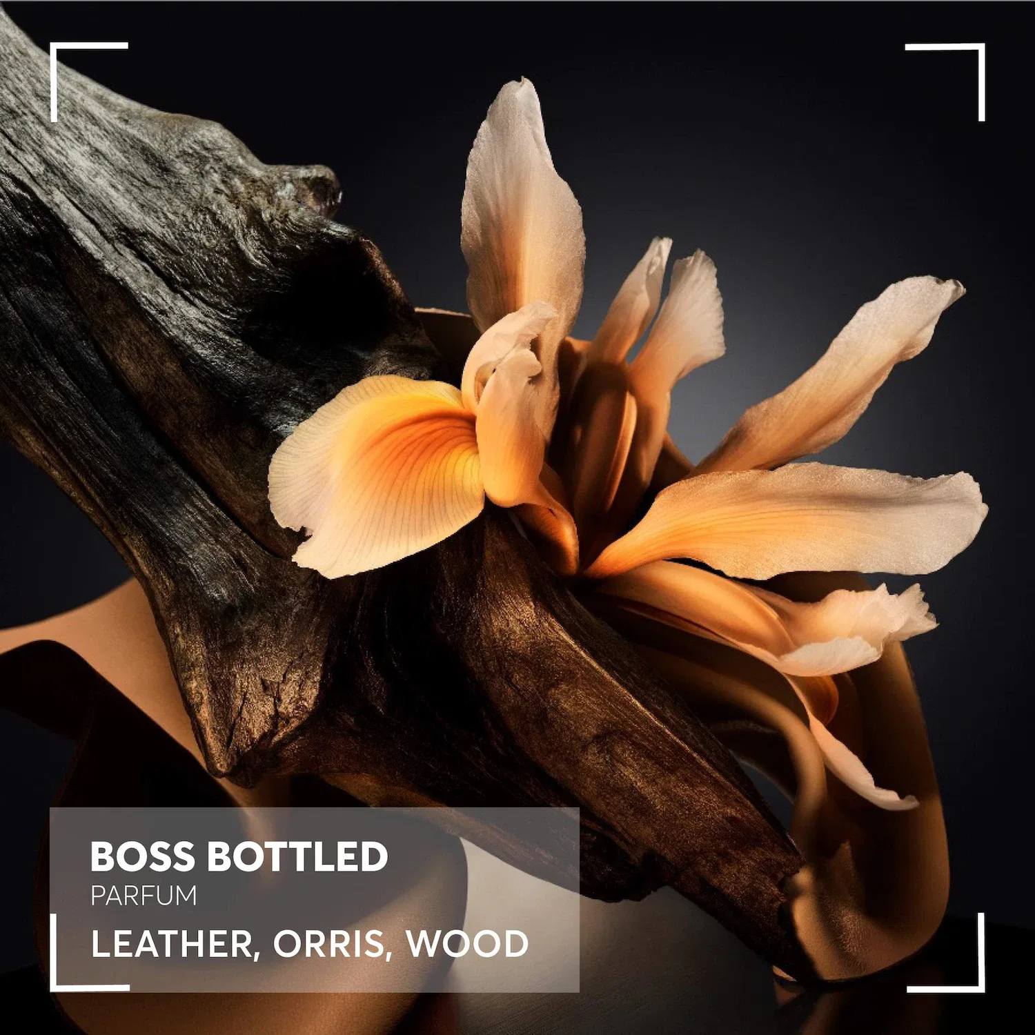 Духи, Boss Bottled Parfum, с нотами кожи Hugo Boss, ириса и древесины, 100 мл — фото 3
