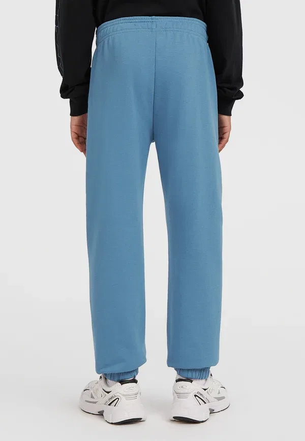 Брюки хлопковые Essentials jogging O'Neill, Mozart Blue, синий — фото 3