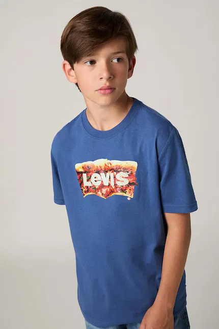 Футболка детская Batwing Slice Tee Levi's, синий