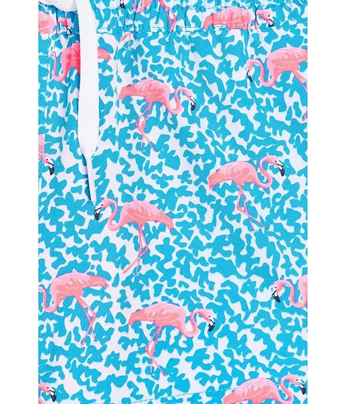 Плавки для мальчиков The Domingos Are For Flamingos с фламинго Chubbies Kids, Bright Blue/Pattern Base — фото 3