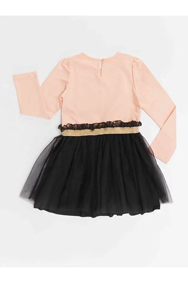 Детское платье для девочек с принтом Şirin ceylan girl's tutu tulle dress Denokids, Multicolor — фото 4