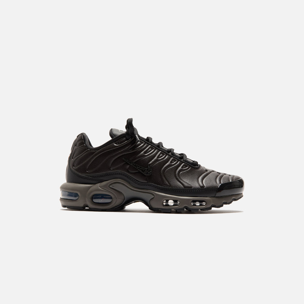 

Кроссовки Nike Air Max Plus, цвет Black Tea/Petra Brown/Olive Grey/Black