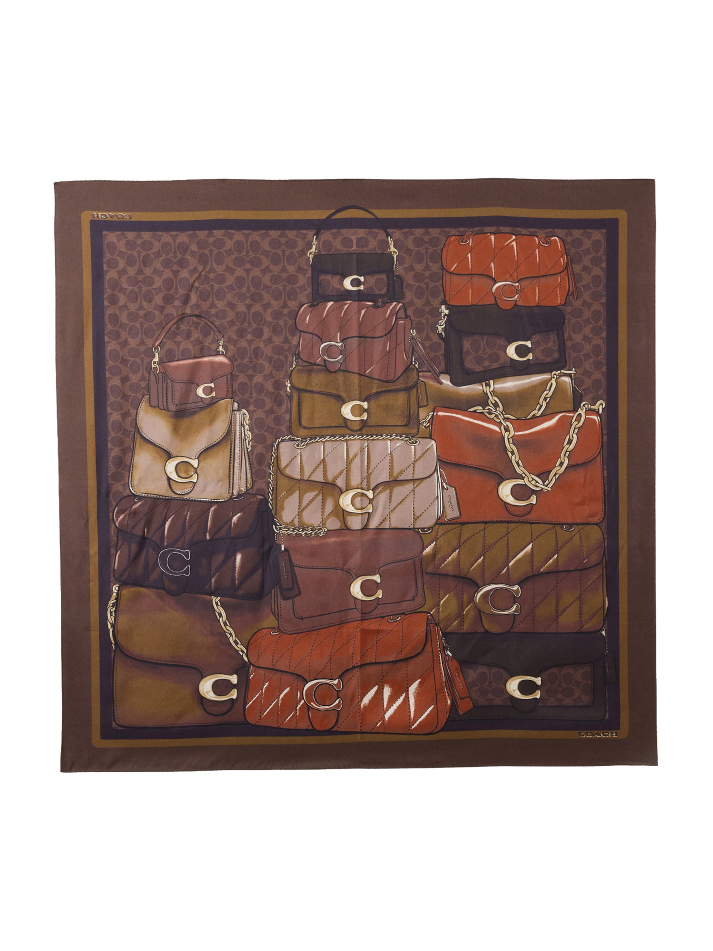 

COACH Шарф в коричневом цвете