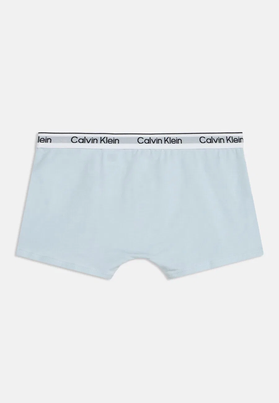 Трусы Calvin Klein Underwear, темно-синие, пастельно-голубые, серые — фото 2