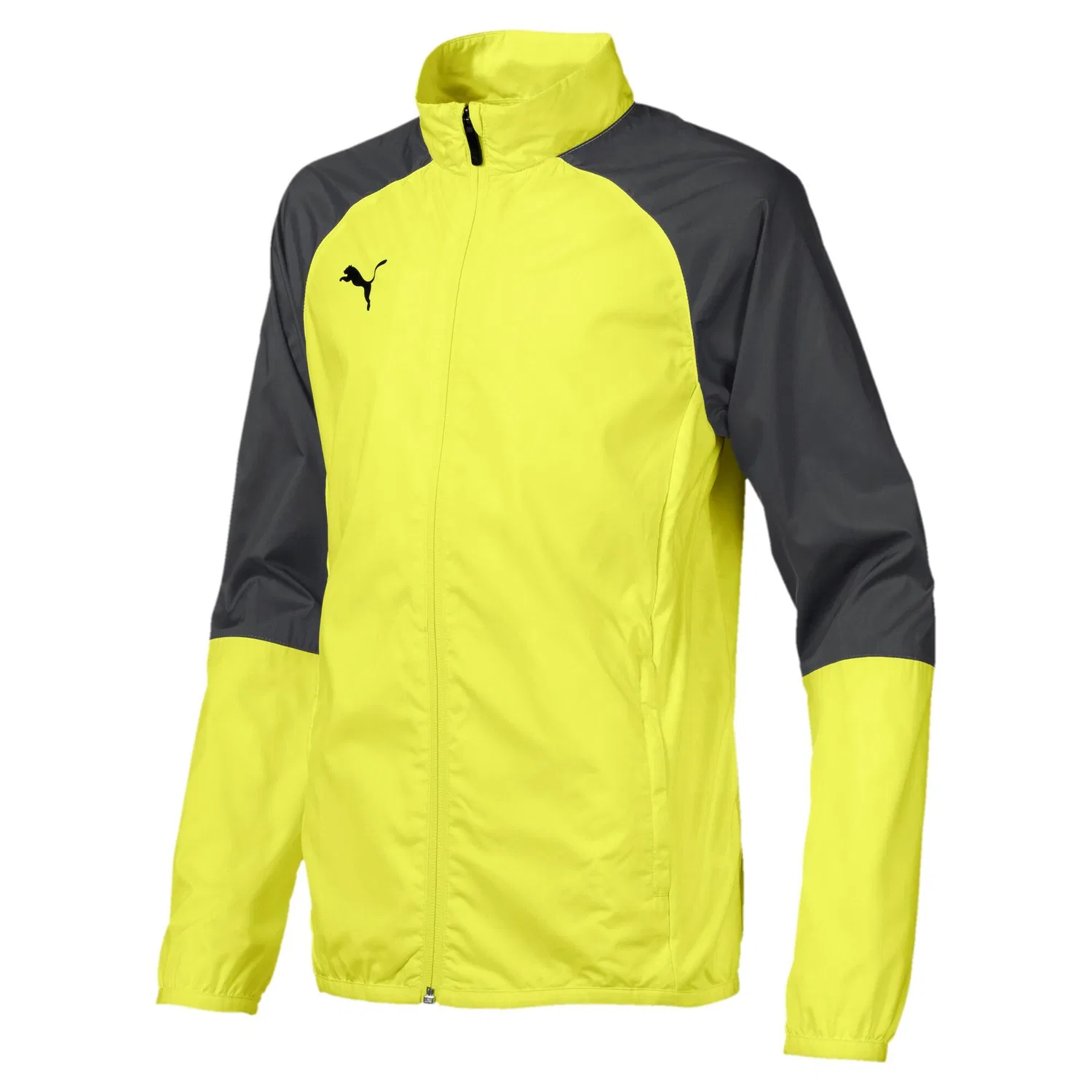 Детская тренировочная куртка с принтом Puma Cup Sideline Woven Jkt Core Jr, Yellow Grey