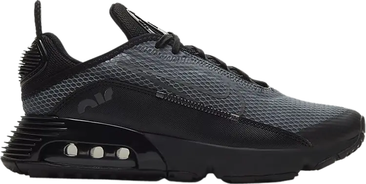 

Кроссовки Nike Air Max 2090 GS 'Black Wolf Grey', черный