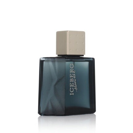 Туалетная вода Iceberg Homme 50 мл для мужчин — фото 3