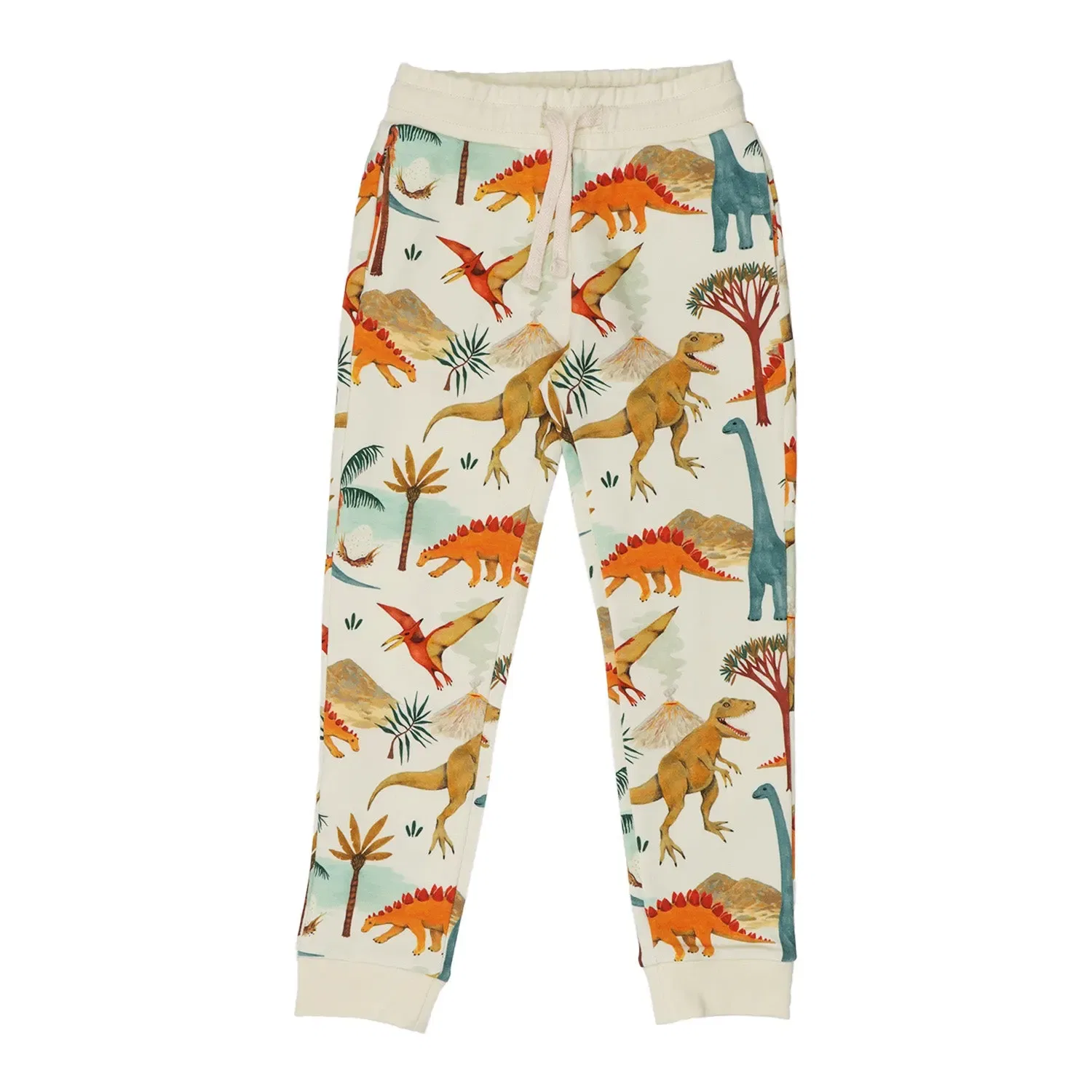 Штаны спортивные с принтом Dinasaur World-Jogger Walkiddy, зеленый — фото 3