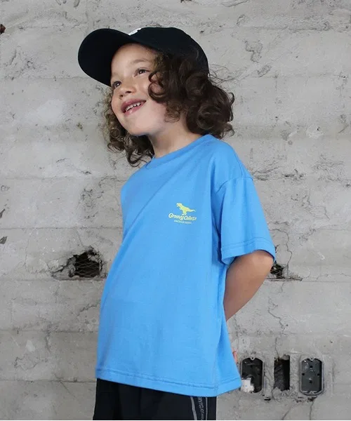 Детская футболка с коротким рукавом и принтом DINOSAUR SOUNDS Tee GROOVY COLORS, Light Blue