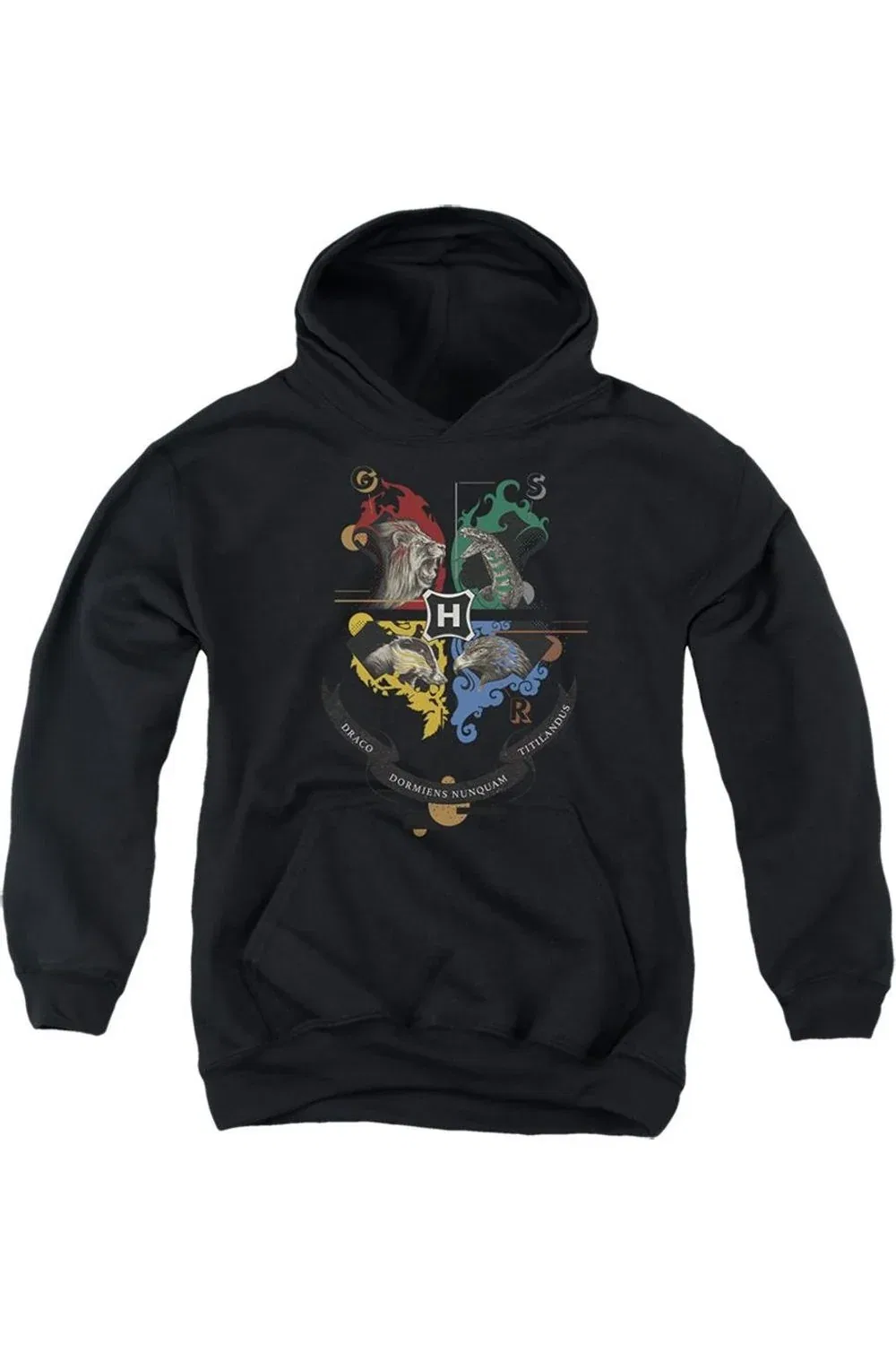 Детское худи с капюшоном Harry Potter Hogwarts Magicial Mischief Level Up Crest Gildan, черный