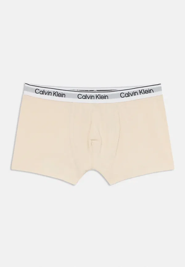 Комплект боксеров 2 шт Calvin Klein Underwear, белый/серый/малиновый/шоколадный — фото 3