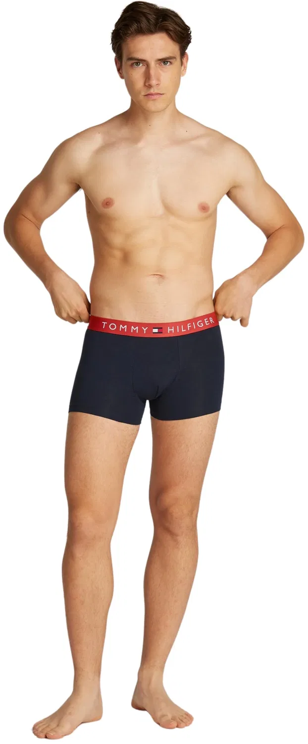 Мужские хлопковые боксеры Tommy Hilfiger, Beige (Terra Red/Pri Red/Des Sky) — фото 4
