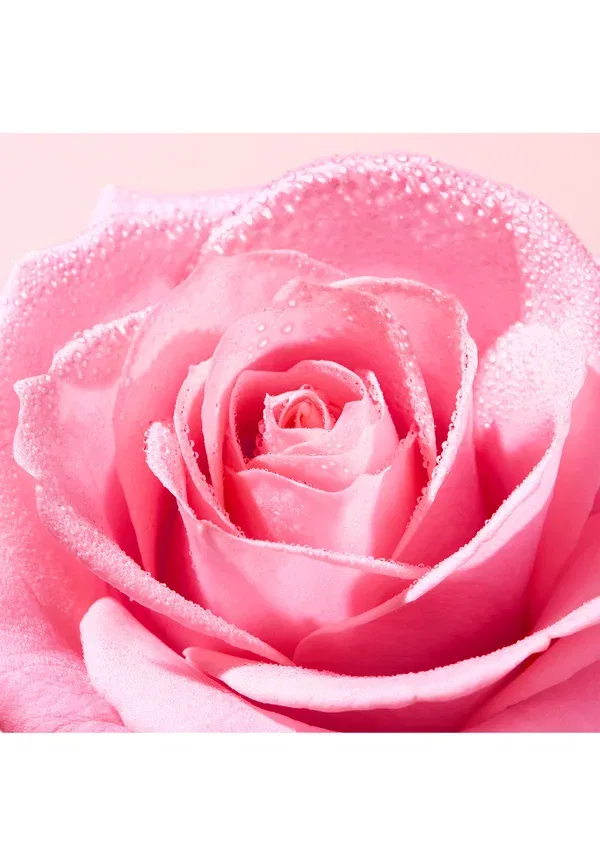 Очищающий гель Very Rose Nuxe, 150 мл — фото 3
