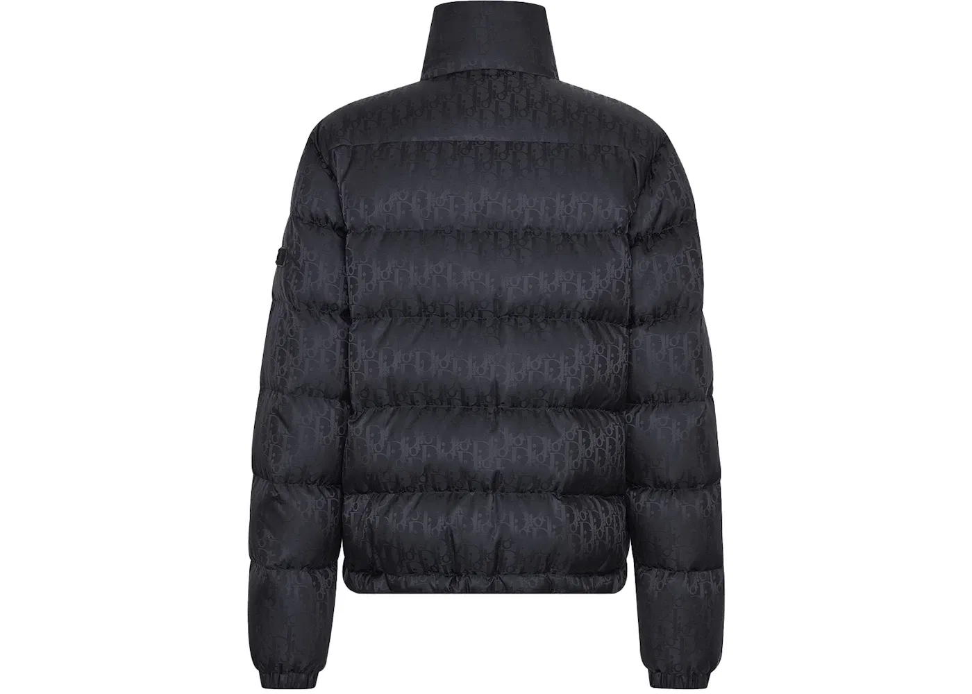 Мужская куртка-пуховик с принтом Dior Oblique Down Jacket Dior, Black Nylon Jacquard — фото 2
