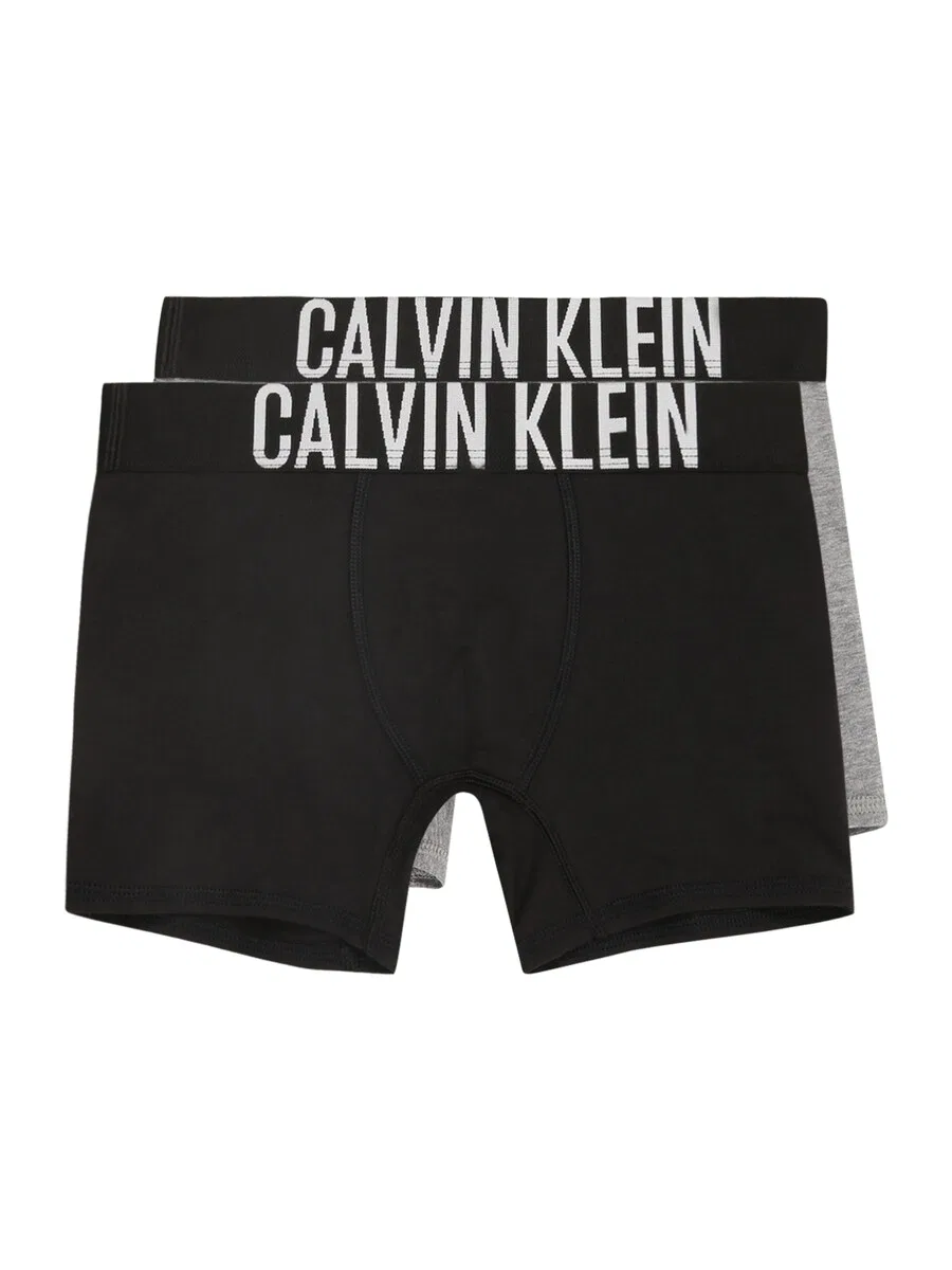 Трусы Calvin Klein Underwear, стандартные, серые и черные