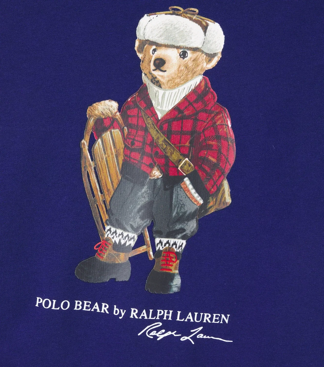 Худи с принтом Hol25 Bear Fall Royale Polo Ralph Lauren Kids, синий — фото 3