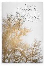 

Картина на холсте A.S. Création Golden Skies цвет cremegoldschwarz