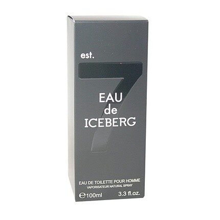 Туалетная вода-спрей для мужчин Iceberg Eau de Iceberg Homme 100 мл — фото 2
