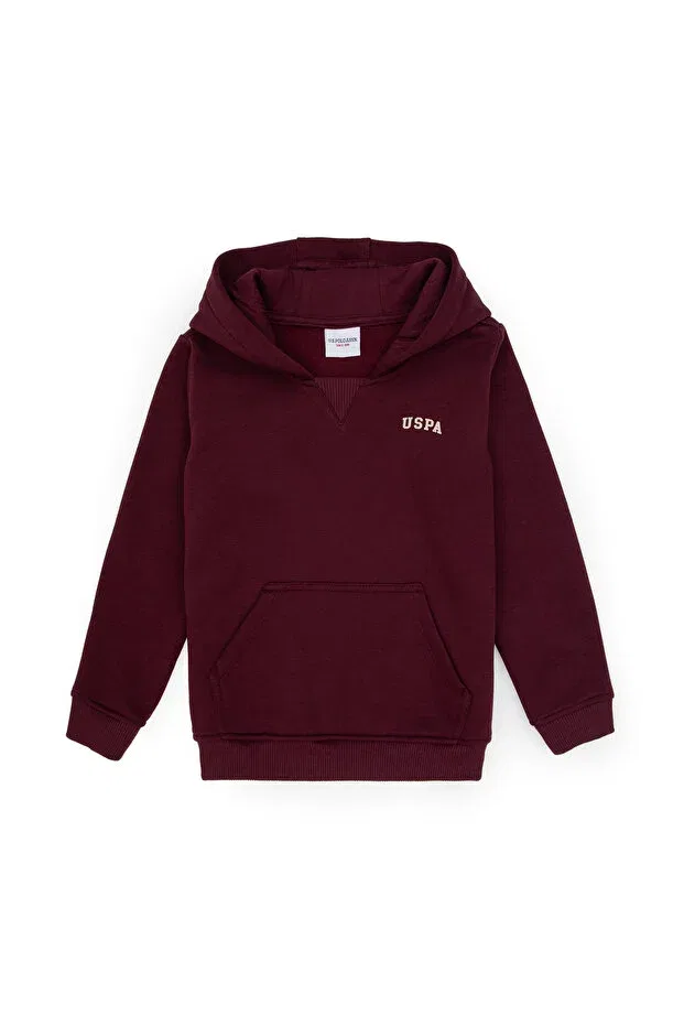 Детское худи для мальчиков с капюшоном U.S. Polo Assn., Plum